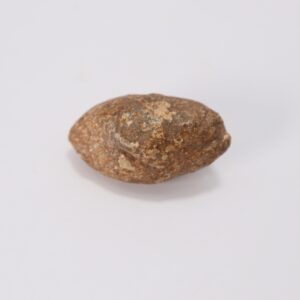 PB Greek Sling Bullet  c. 4th–1st Century BC